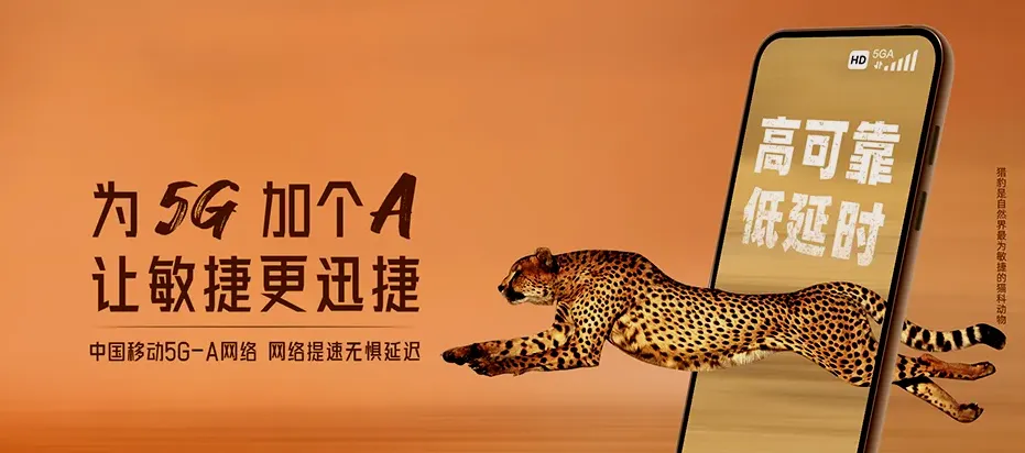 洛龙区洛龙区缑氏镇 移动宽带